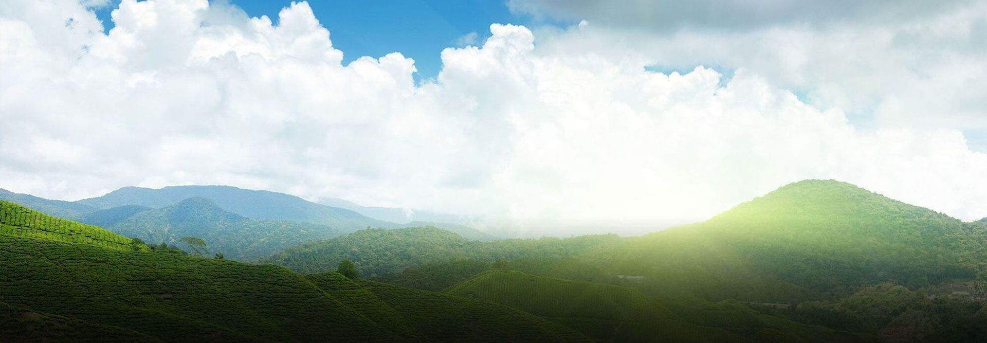Aussicht auf ein grünes Tal im Sonnenschein